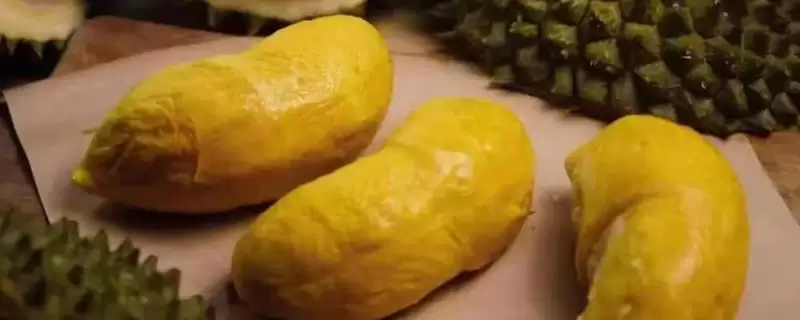 分辨正宗马来西亚猫山王榴莲真假的方法和重点？分辨正宗马来西亚猫山王榴莲真假要做好哪些细节？-会东网