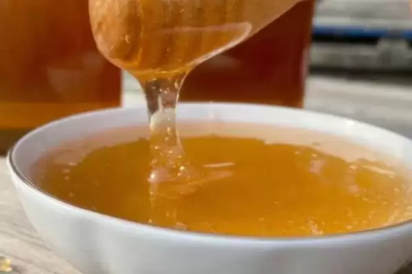 图片[9]-蜂蜜有几种颜色，主要有白色、水白色、琥珀色等7种颜色-会东网