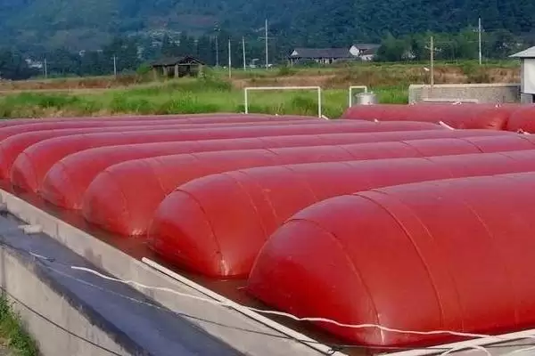 小型养猪场猪粪处理的方法和重点？养猪要做好哪些环保处理细节？插图2