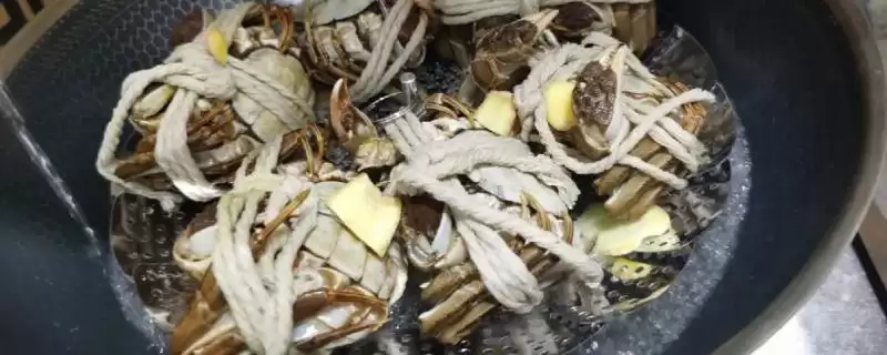 螃蟹蒸煮时间大揭秘：根据大小而定的科学方法-会东网