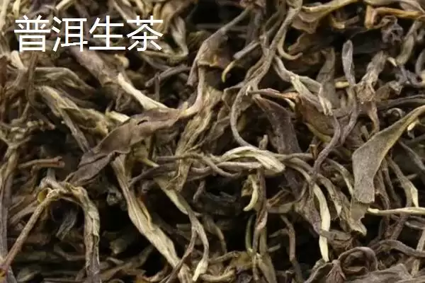 图片[2]-普洱生茶和熟茶的差异对比：颜色和口感不同的独特风味-会东网