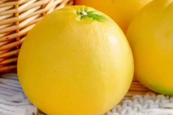 葡萄柚的身世之谜：柚和甜橙杂交品种的奇妙诞生插图1