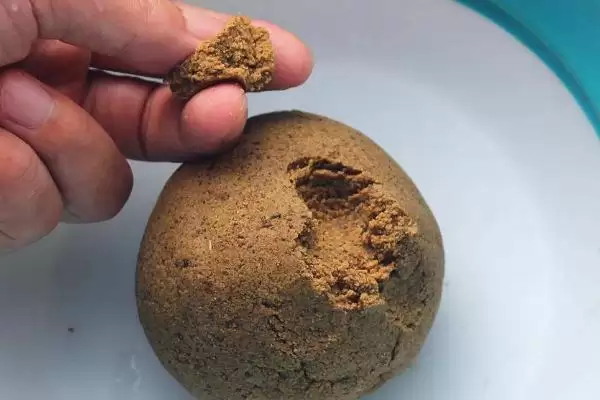 图片[6]-牛尾巴鱼的故乡寻踪：黄河流域和东北江河的分布秘密-会东网