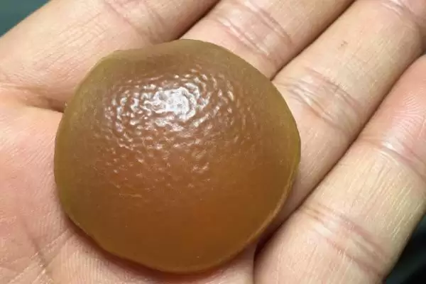 图片[4]-青鱼石位置探寻：在青鱼牙齿上方枕骨上的发现-会东网
