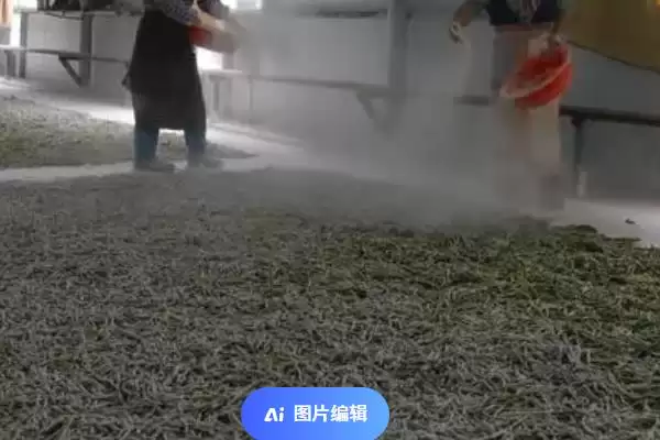 图片[9]-养蚕的方法和重点？养蚕要做好哪些细节？(3)-会东网