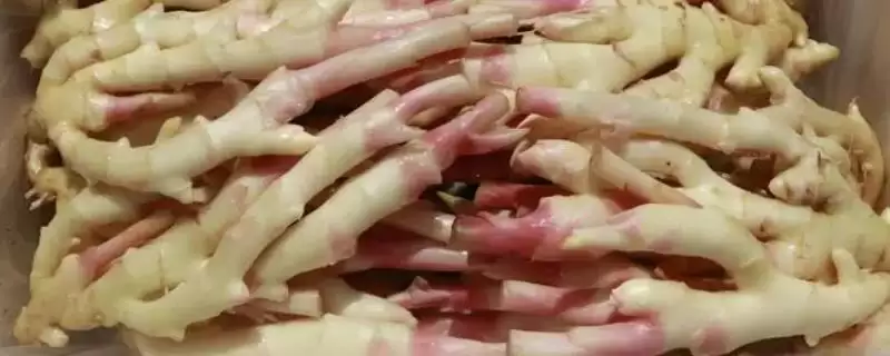 了解重庆市荣昌区特产的方法和重点?养猪与地方特色有哪些关联细节?-会东网