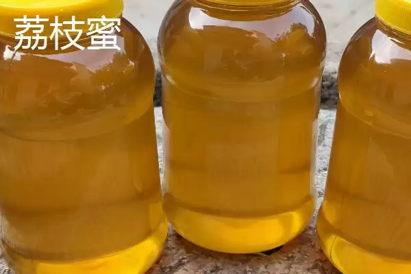 图片[3]-乌桕蜜和荔枝蜜哪个好，后者的色泽和口感都更优-会东网