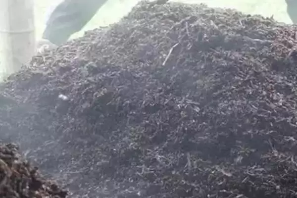 图片[2]-酵素堆肥的制作方法 ,制作酵素堆肥有哪些具体方法-会东网