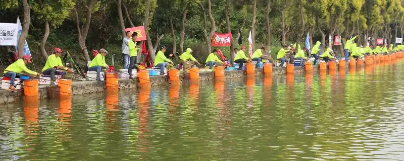 竞技竿和台钓竿的区别 ,竞技竿与台钓竿在用途和特点上有何差异?-会东网