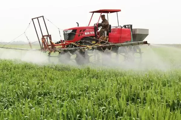 减少农药喷施量提高瓜果品质的方法和重点?提升瓜果品质要做好哪些细节?插图2 减少农药喷施量提高瓜果品质的方法和重点?提升瓜果品质要做好哪些细节?插图2