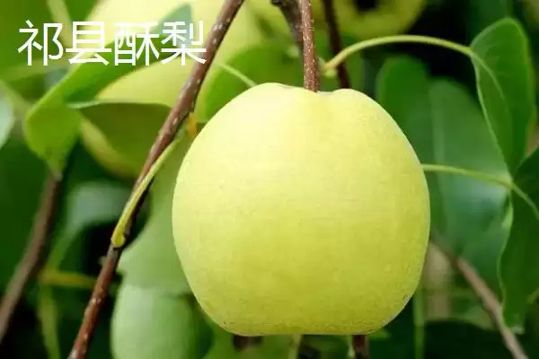图片[3]-山西晋中市的特产，是国家级文化生态保护实验区-会东网