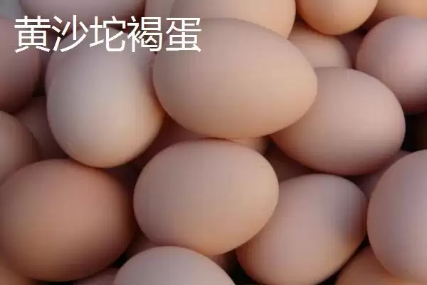 了解我国鸡蛋产地分布的方法和重点?养鸡要做好哪些产地关联?插图2 了解我国鸡蛋产地分布的方法和重点?养鸡要做好哪些产地关联?插图2