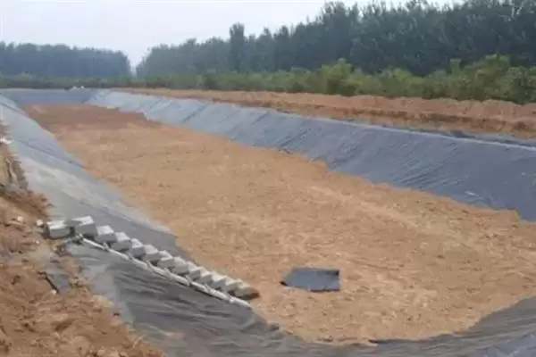 图片[6]-农村鱼塘养鱼技术要点：选在水源附近的关键因素-会东网