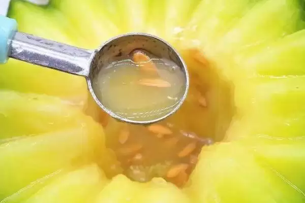 香水瓜种子选种的方法和重点？选香水瓜种子要做好哪些细节？插图1