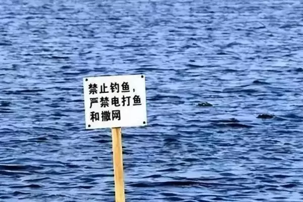 图片[2]-禁渔期的相关介绍 ,禁渔期具体指的是什么呢-会东网