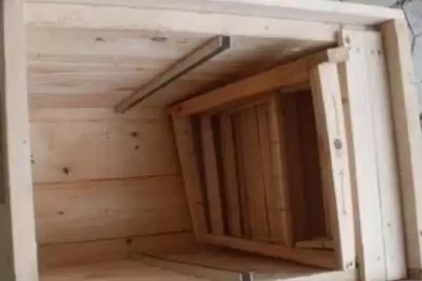 图片[6]-育王棒是什么，属于培育蜂王的专用工具-会东网