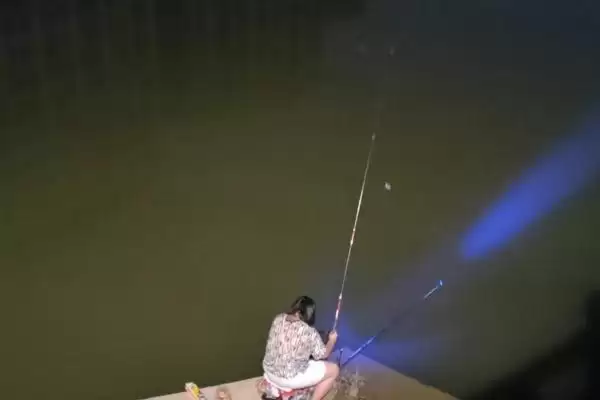图片[3]-夜钓鲢鳙的可行性 ,为什么说鲢鳙夜钓比较普遍呢？-会东网