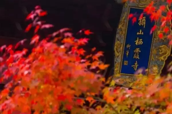 图片[4]-栖霞山红叶观赏最佳时间：11月中旬至12月中旬的美丽时刻-会东网