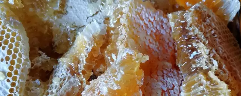 纯正土蜂蜜,产量稀缺-会东网