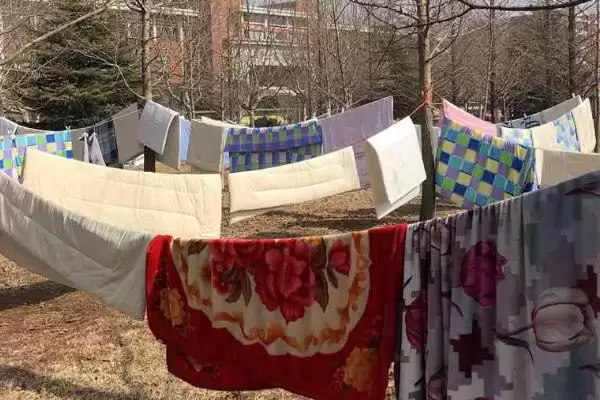 图片[5]-跳蚤的天敌？了解跳蚤天敌要知晓哪些关键的生物相克关系和物种信息？-会东网