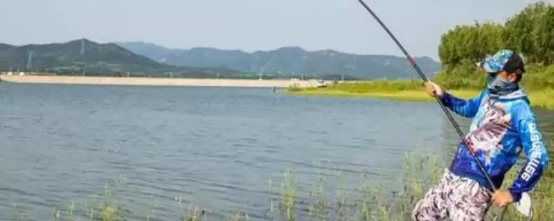 轻量大物竿推荐榜单:7款值得一试的优质鱼竿-会东网