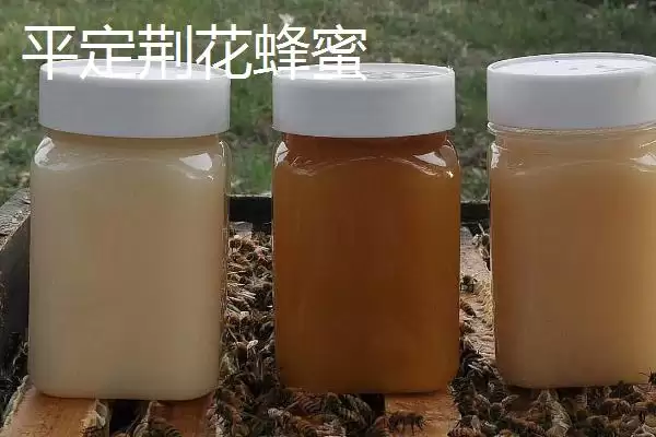 图片[8]-山西阳泉的特产，连翘茶是当地的特色茶种-会东网