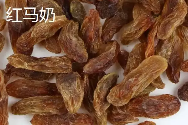 葡萄干产地大比拼：哪里产的更好吃？插图2