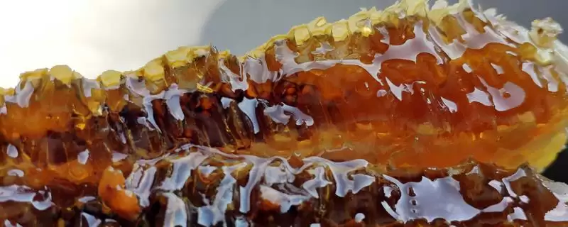 变质的蜂蜜是什么样,蜂蜜中会出现大量气泡并且质地会变稀-会东网