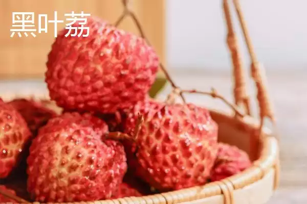 图片[4]-灵山荔枝的品种特点 ,灵山荔枝三月红有何成熟优势？-会东网
