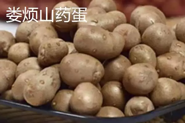 图片[3]-山西省娄烦县的特产，莜面栲栳栳为当地的传统小吃-会东网