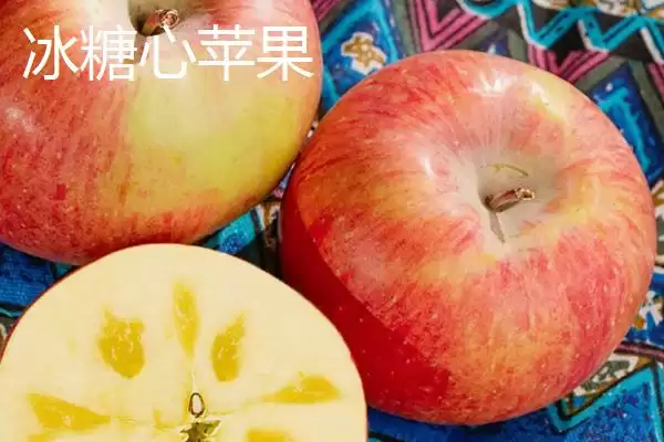 冰糖心苹果是特殊的品种吗，并非特殊的品种插图2