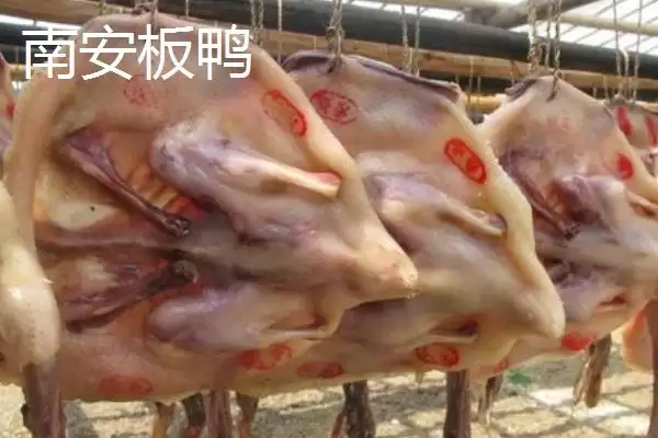 图片[14]-江西省瑞金市的特产 ,江西省瑞金市有啥特色美食-会东网