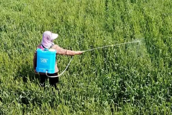 图片[3]-掌握植物防冻剂使用方法的方法和重点？掌握植物防冻剂使用方法要做好哪些细节？-会东网