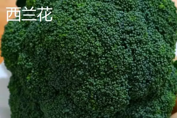 图片[2]-西兰花和花菜区别的要点和对比？分辨西兰花和花菜需注意什么？-会东网