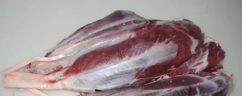 牛体内有多少牛腱子,4条腿上各有1个-会东网