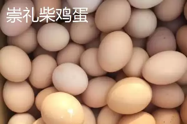 了解我国鸡蛋产地分布的方法和重点?养鸡要做好哪些产地关联?插图3 了解我国鸡蛋产地分布的方法和重点?养鸡要做好哪些产地关联?插图3