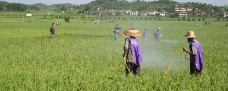 为什么禁用二氯丙烯？了解禁用二氯丙烯原因要知晓哪些环境、健康和化学特性要点？-会东网