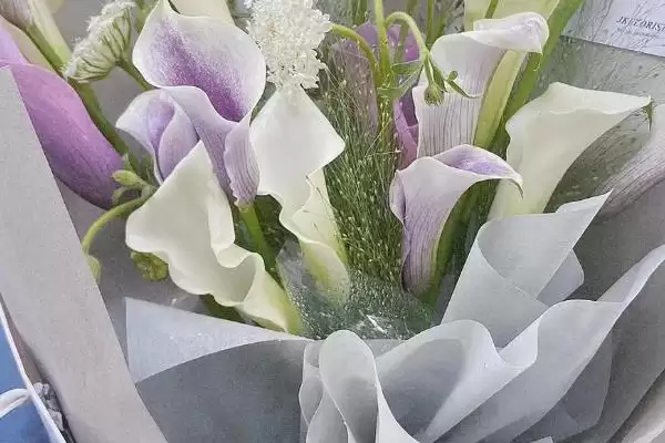 图片[4]-老婆生日的送花选择 ,送老婆生日花选玫瑰有何寓意？-会东网