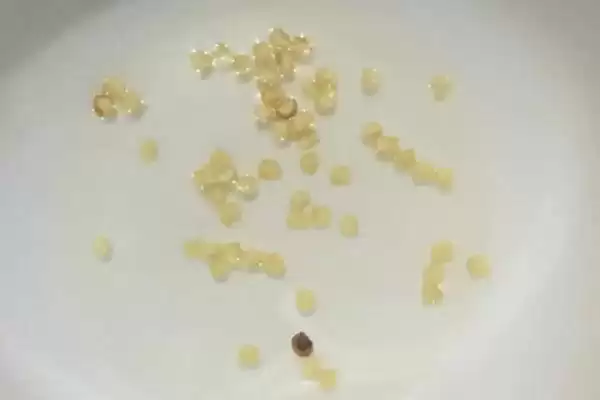 辣椒种子的浸泡方法 ,辣椒种子用多少度清水泡多久合适?插图2 辣椒种子的浸泡方法 ,辣椒种子用多少度清水泡多久合适?插图2