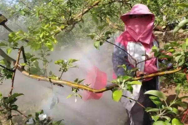 苹果树农药全年配方表，不同季节的使用不同的农药插图3