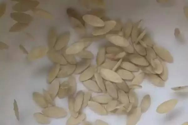 露天黄瓜的株行距是多少 ,露天黄瓜株行距一般为多少插图3 露天黄瓜的株行距是多少 ,露天黄瓜株行距一般为多少插图3