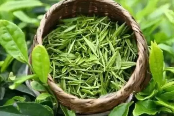 图片[3]-如何挑选茶叶？挑选茶叶要掌握哪些关键的挑选技巧和要点？-会东网