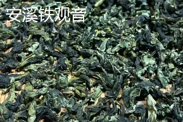 图片[4]-认识中国十种名茶的方法和重点？认识中国十种名茶要做好哪些细节？-会东网