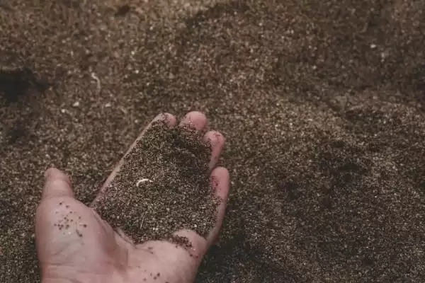 图片[3]-甜瓜适合在什么季节种植？确定甜瓜种植季节要考虑哪些气候和生长特性？-会东网
