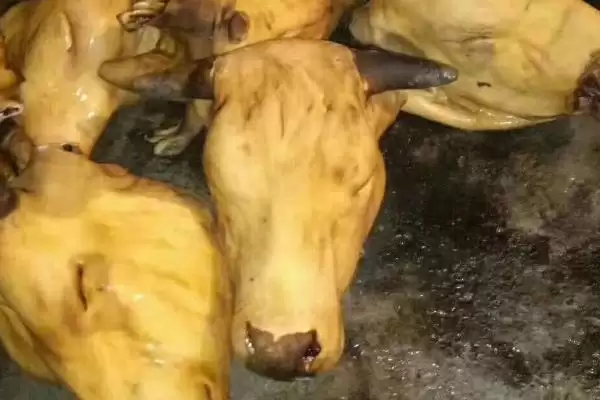 牛头去毛的正确打开方式：70℃水浸泡的关键步骤插图2