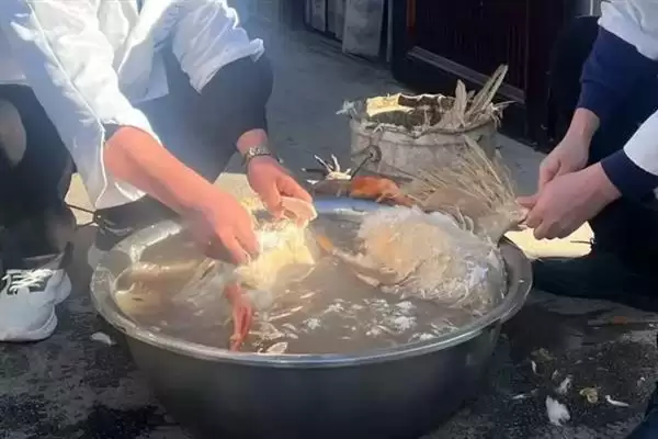 图片[5]-清除鹅身上细毛的技巧：蜜蜡浸泡后拔除的原理与方法-会东网