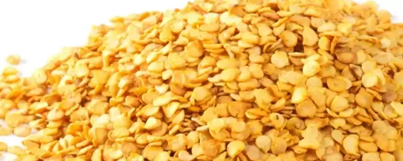 辣椒籽的直接种植问题 ,辣椒籽直接种植后如何保持湿度?-会东网