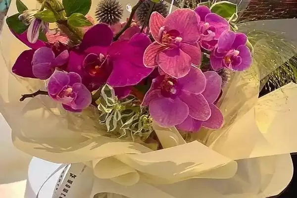 图片[6]-老婆生日的送花选择 ,送老婆生日花选玫瑰有何寓意？-会东网