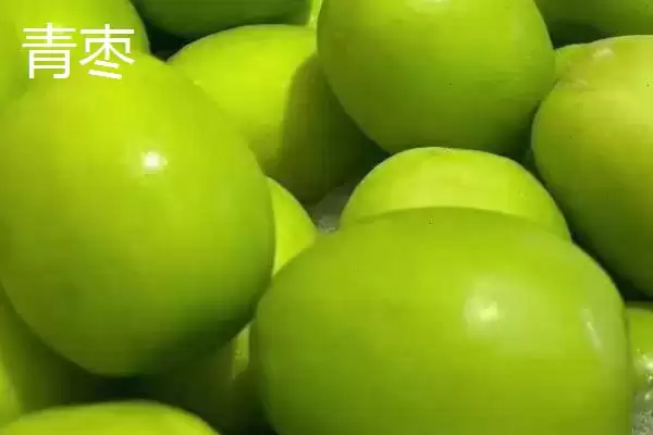 冬枣产地大搜罗:山西、河北、山东等地种植特点插图4 冬枣产地大搜罗:山西、河北、山东等地种植特点插图4