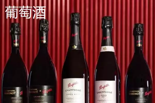 图片[3]-宁夏九大重点特色产业探秘：中国枸杞之乡的辉煌之路-会东网